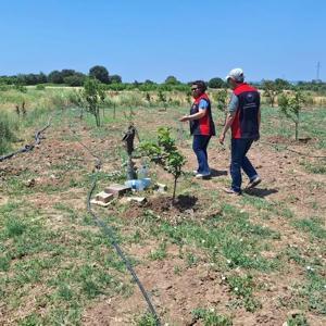Çanakkale’de tarımsal sulama elektrik aboneliği bulunan tarımsal araziler denetleniyor