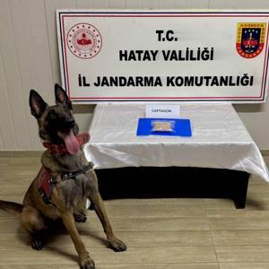 Hatay’da 23 uyuşturucu satıcısı yakalandı
