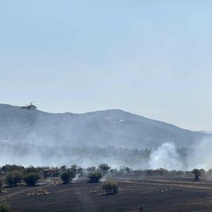 Uşakta makilik yangını