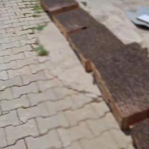 Adana usulü sinek avlama merkezi