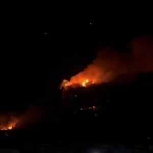 İzmirde sanayide çıkan yangın ormana sıçradı (3)