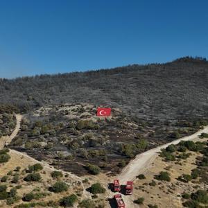 Aliağada yanan alanlar havadan görüntülendi