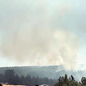 Tekirdağda orman yangını