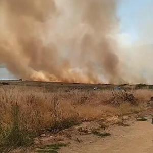 Elazığ’da otluk yangını, söndürüldü