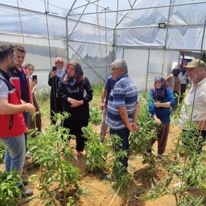 Kandıra’da örtüaltı sebze yetiştiriciliği eğitim çalışmaları devam ediyor