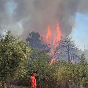 Antalya Aksuda orman yangını