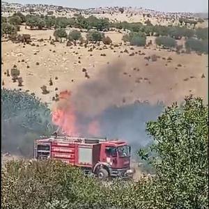 Mardinde çıkan örtü yangını, 3 saatte söndürüldü