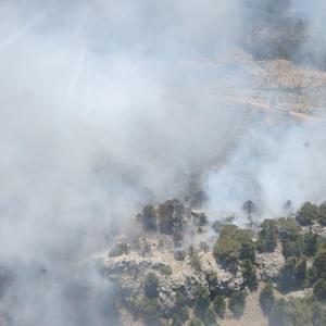 Mersinde orman yangını