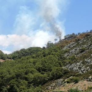 Antalyada orman yangını