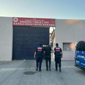 Jandarmadan kenevir operasyonu; 1 tutuklama