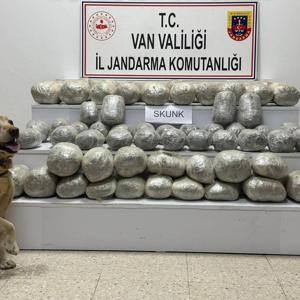 Van’da 97 kilo skunk ele geçirildi
