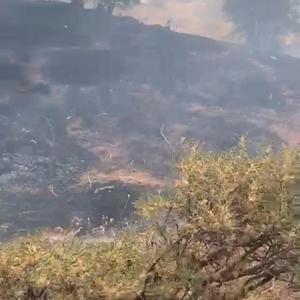 Elazığ’da örtü yangını, söndürüldü