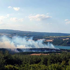 Tekirdağda orman yangını