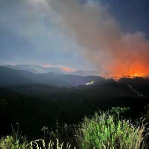 AFAD Başkanı Pehlivan, Yayladağı sınırında yanan alanı inceledi