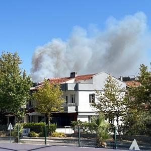 İzmirde orman yangını