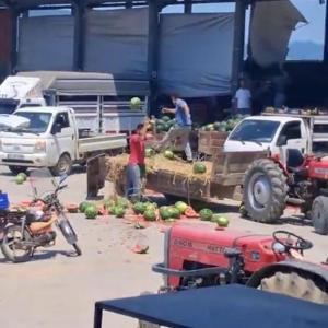 Karpuzları yere atıp, parçalayan üreticiler hakkında işlem başlatıldı