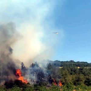 Tekirdağda orman yangını