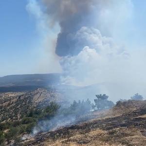 Çanakkalede orman yangını