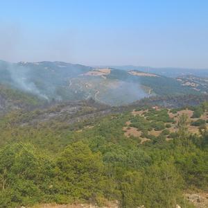 Balıkesirdeki orman yangını 2inci gününde