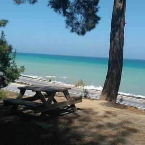 Karadeniz’in doğa harikası Çamgölü Mesire Alanı yatırımcı bekliyor