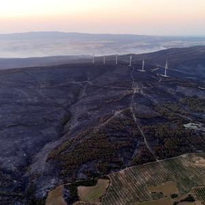 Tekirdağdaki orman yangını kontrol altına alındı