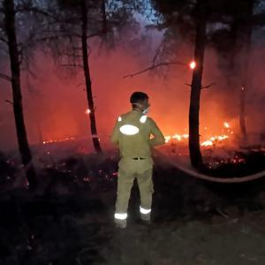 Sakaryada orman yangını; alevler rüzgarın etkisiyle yayılıyor (6)