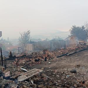 Sakaryada orman yangını: Taşoluk Mahallesinde 3 ev kül oldu