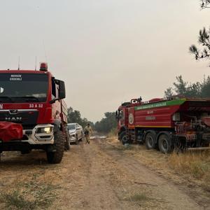 Sakaryadaki orman yangını 3üncü gününde