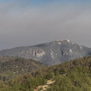 Sakarya Geyve’deki orman yangını 4’üncü günde kısmen kontrol altında