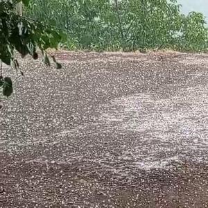 Elazığ Karakoçan’da dolu yağışı