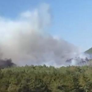 Bursada orman yangını