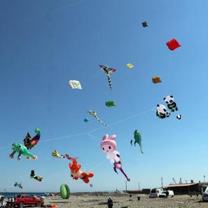 Trakya Uçurtma Festivalinden renkli görüntüler