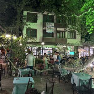 Anıt ağacın dalı düştü: 1 yaralı