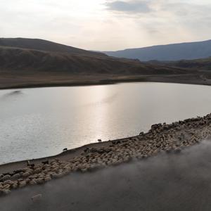 Bitliste göçerlerin zorlu yayla hayatı
