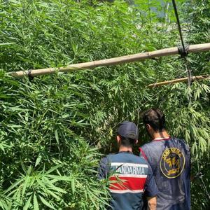 Evinde uyuşturucuyla yakalanıp, gözaltına alındı