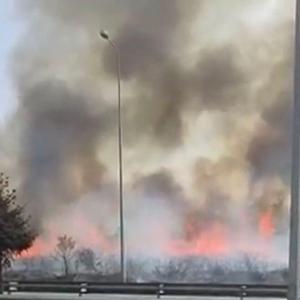 Anadolu Otoyolu kenarındaki ot yangını söndürüldü