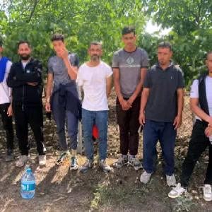 Edirne’de 9 kaçak göçmen yakalandı