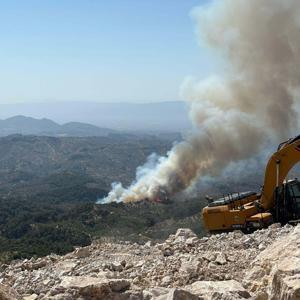 Aydında orman yangını