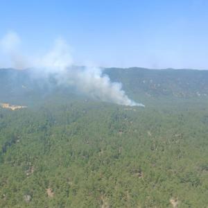 Mersinde orman yangını