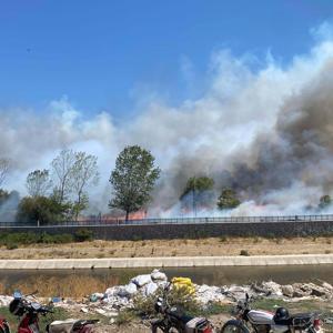 Çanakkalede Ayvacıkta da orman yangını çıktı