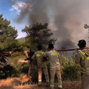 Mersindeki orman yangını 2nci gününde