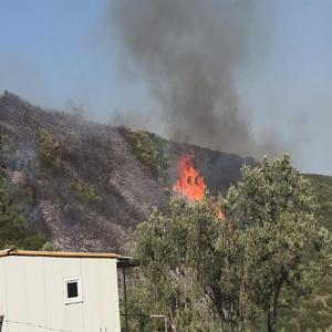 Bursada orman yangını soruşturmasında 1 gözaltı
