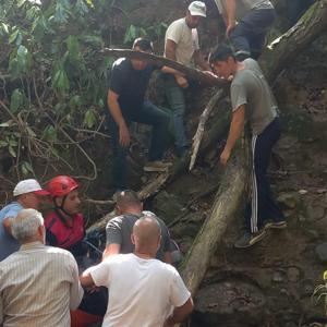 Fındık toplarken uçurumdan yuvarlanıp öldü