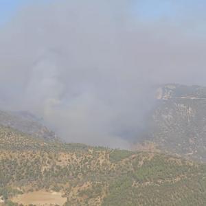 Denizlideki orman yangını Aydına sıçradı