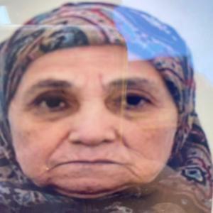 Düzce’de kaybolan 81 yaşındaki kadın, 53 saat sonra yarı baygın bulundu