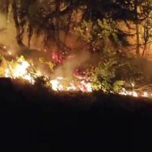 Düzce Yığılcada orman yangını; 2 saatte kontrol altında