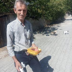 10 yıldır ilçede kedi ve köpekleri besliyor