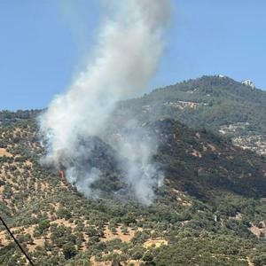 Aydında tarım arazisinde yangın
