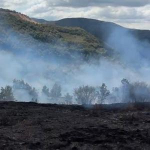 Fındık bahçesinde çıkan yangın, ormana sıçramadan kontrol altına alındı