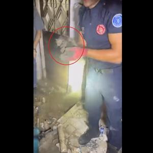 Giderde mahsur kalan yavru kediyi itfaiye kurtardı